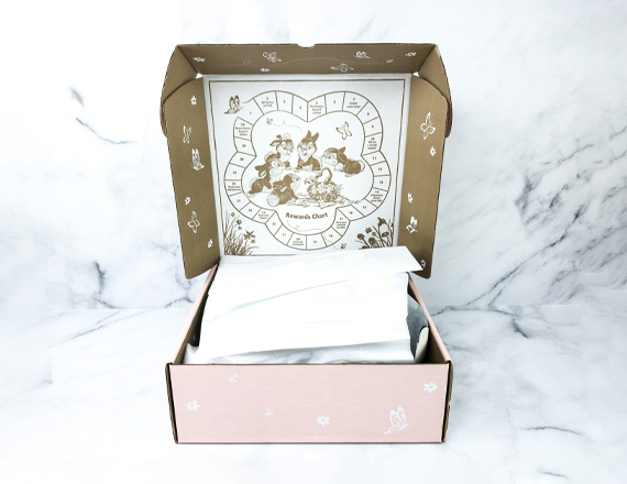 Disney Subscription Boxes - Image 2