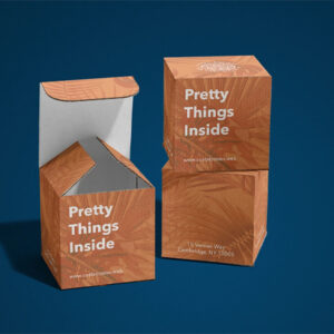 Tuck Top Auto Bottom Boxes