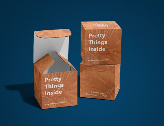 Tuck Top Auto Bottom Boxes