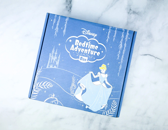 Disney Subscription Boxes - Image 3