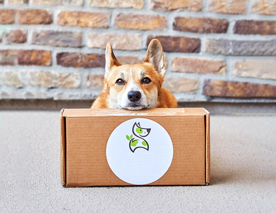 Pet Food Subscription Boxes - Image 3